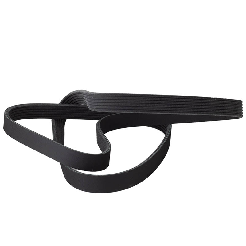 781822 Belt Motor to Compressor T-Dairy,500,600,800