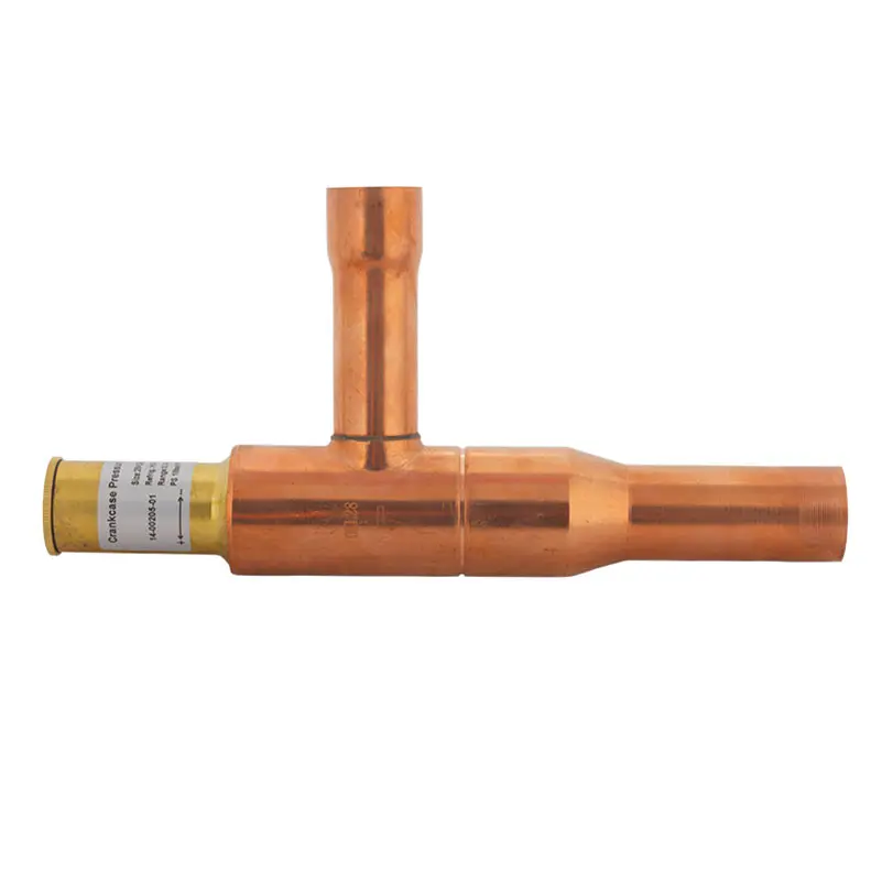 14-00205-01 (2).webp