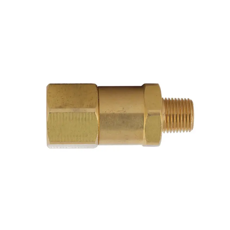 100342 Fuel Check Valve