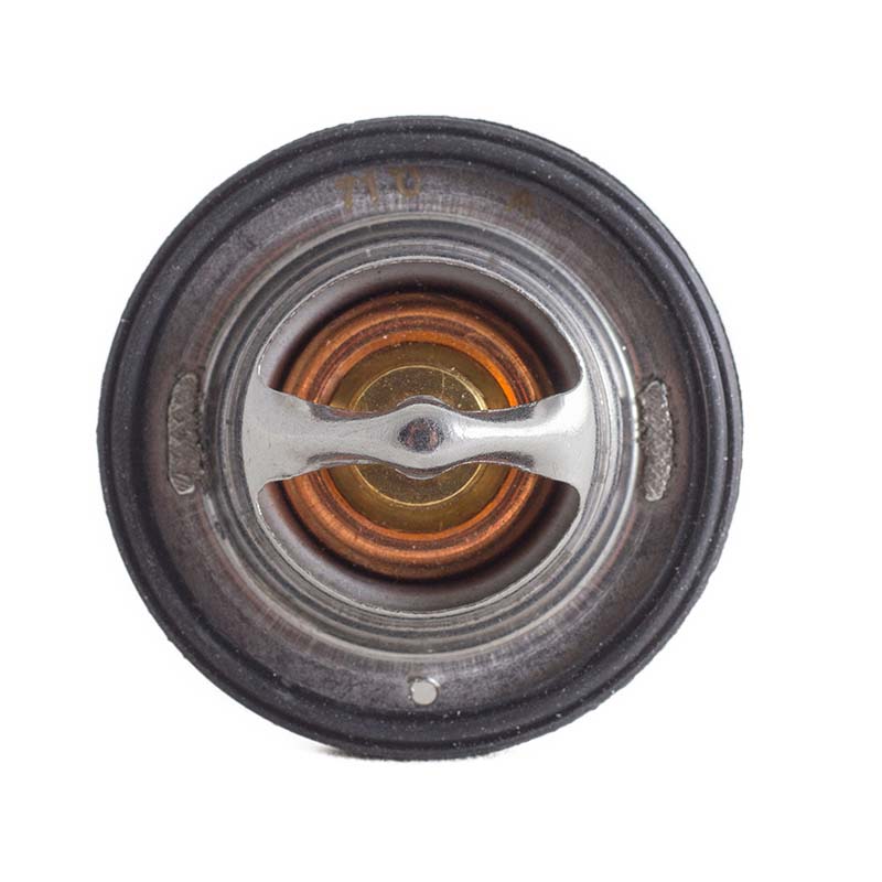 25-39236-01 Thermostat