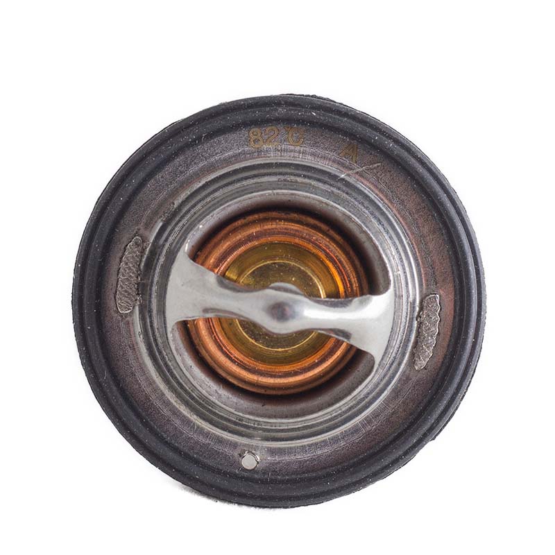 25-37559-01 Thermostat