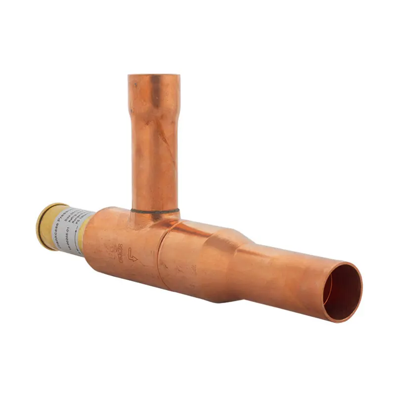 14-00205-01 Valve CPR