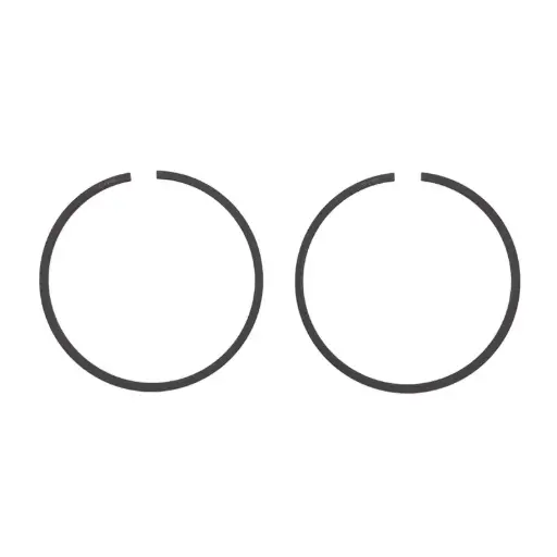 [17-55025-00] 17-55025-00 Piston Ring, 0.2